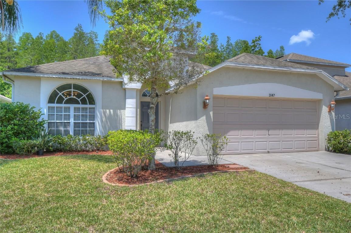 3147 Gianna Way, Land O Lakes, FL 34638