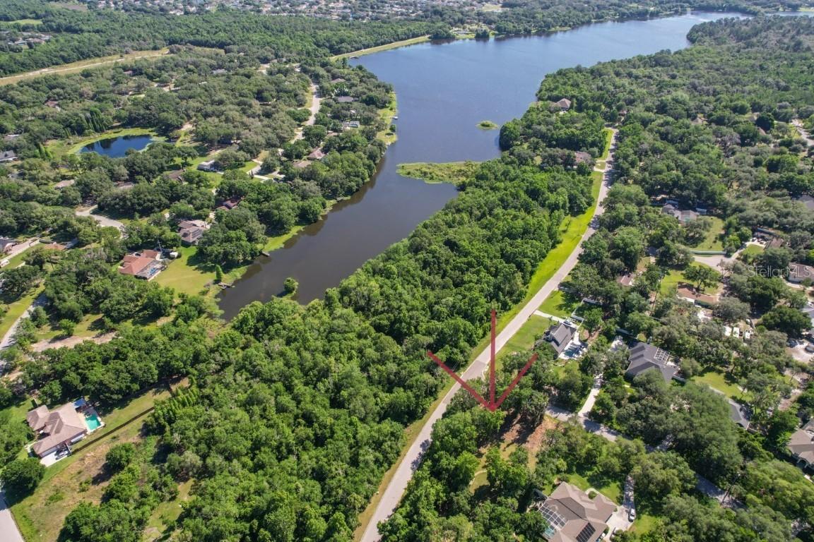 12505 Lake Hills Dr., Riverview, FL 33569