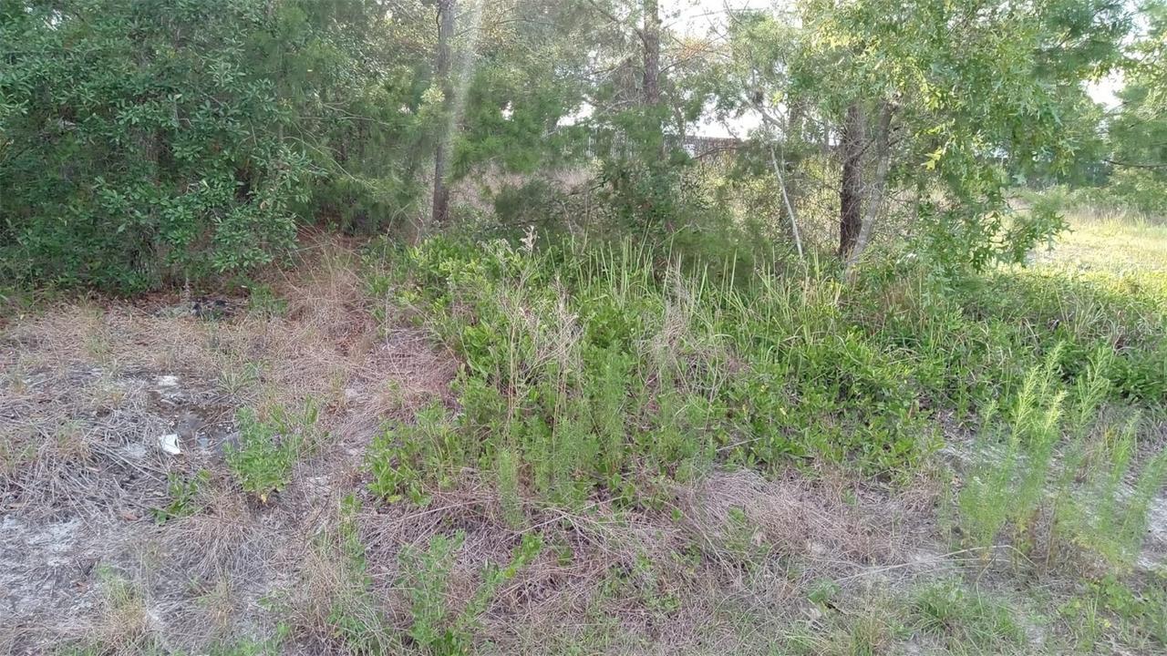 14930 Abair St., Hudson, FL 34667