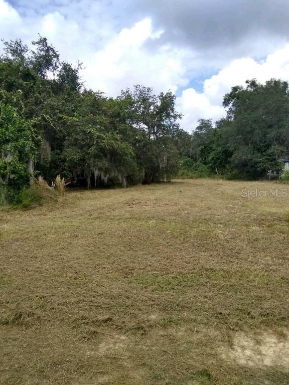 24881 NE 134th Pl., Fort Mc Coy, FL 32134