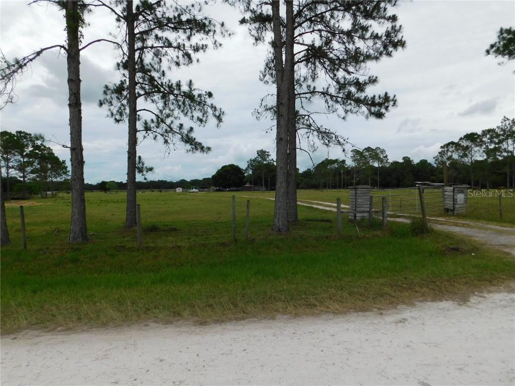 6736 Perpetual Ln., Wesley Chapel, FL 33545