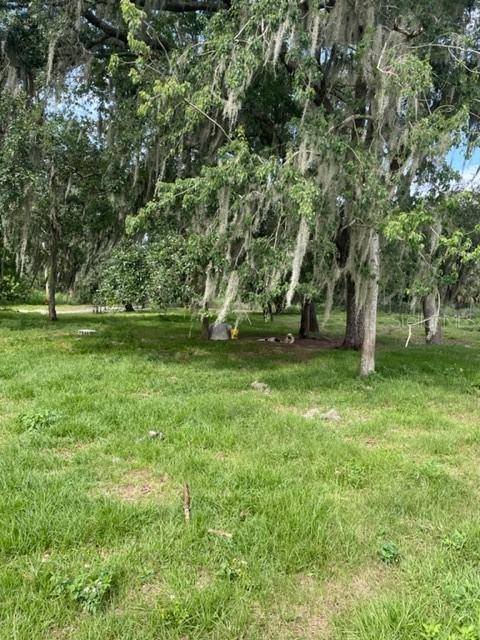 11522 Brancato Ln., Riverview, FL 33578