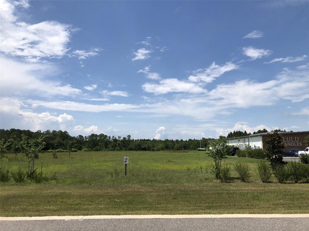 Cobb Dr., Eustis, FL 32736