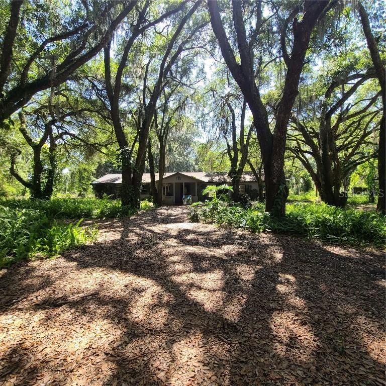 4313 Platt Rd., Plant City, FL 33565