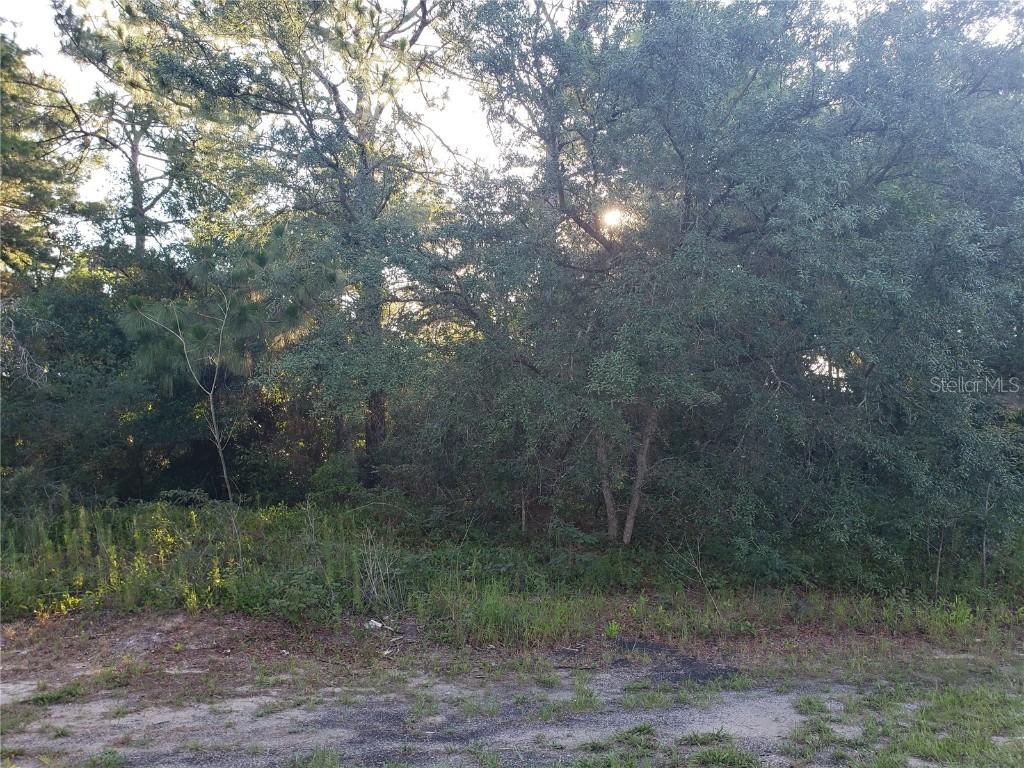 2160 Maximilian Ave., Spring Hill, FL 34609