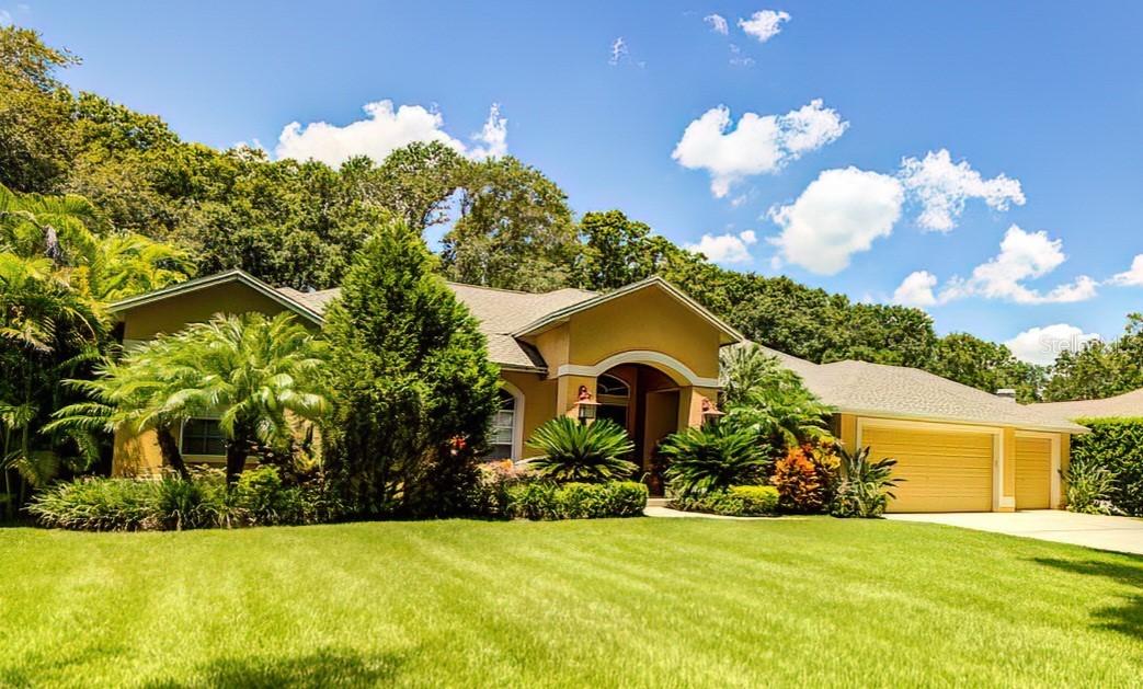 18206 Fox Trace Ct., Lutz, FL 33549