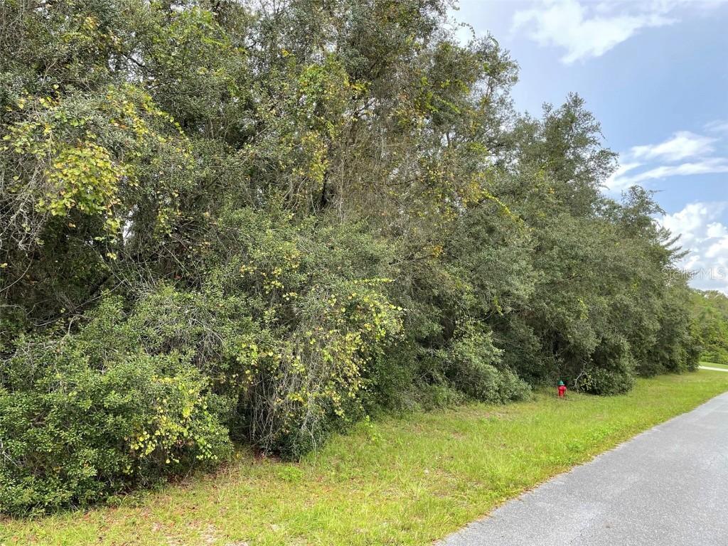 Sw 43rd Avenue Road, Ocala, FL 34473