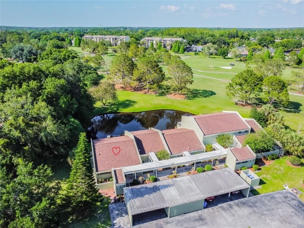 13510 Palmwood Ln., Tampa, FL 33618