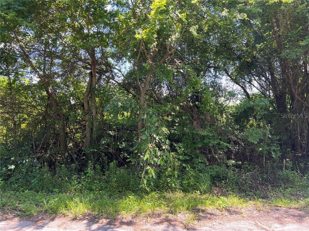 TBD Locust Street Pl, Ocala, FL 34472