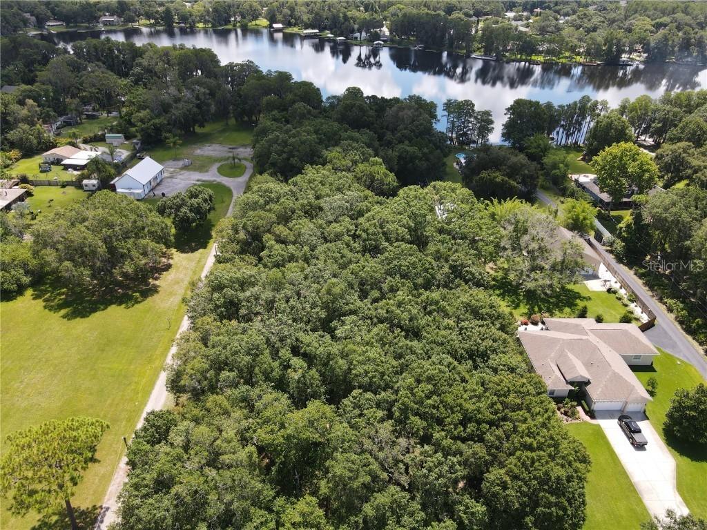 1302 Big Moss Lake Rd., Lutz, FL 33558