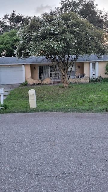 11115 Mckinley Dr., Port Richey, FL 34668