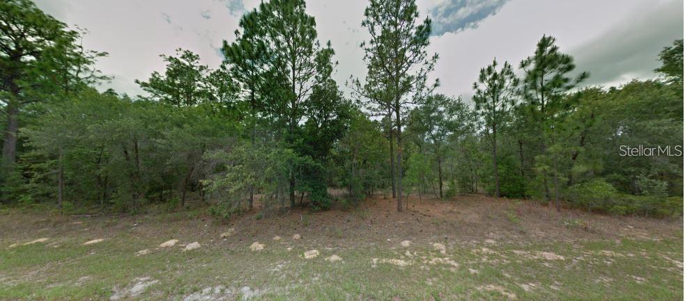 [Address Unavailable], Citrus Springs, FL 34434