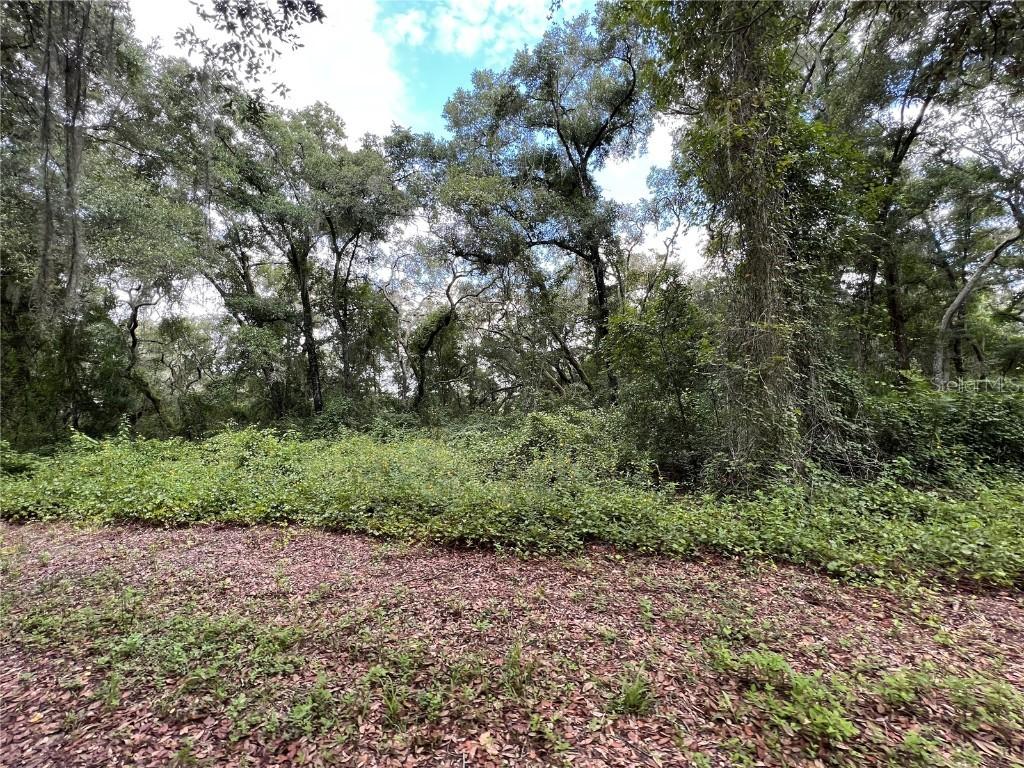 00 Woodtrace Dr., Dade City, FL 33523