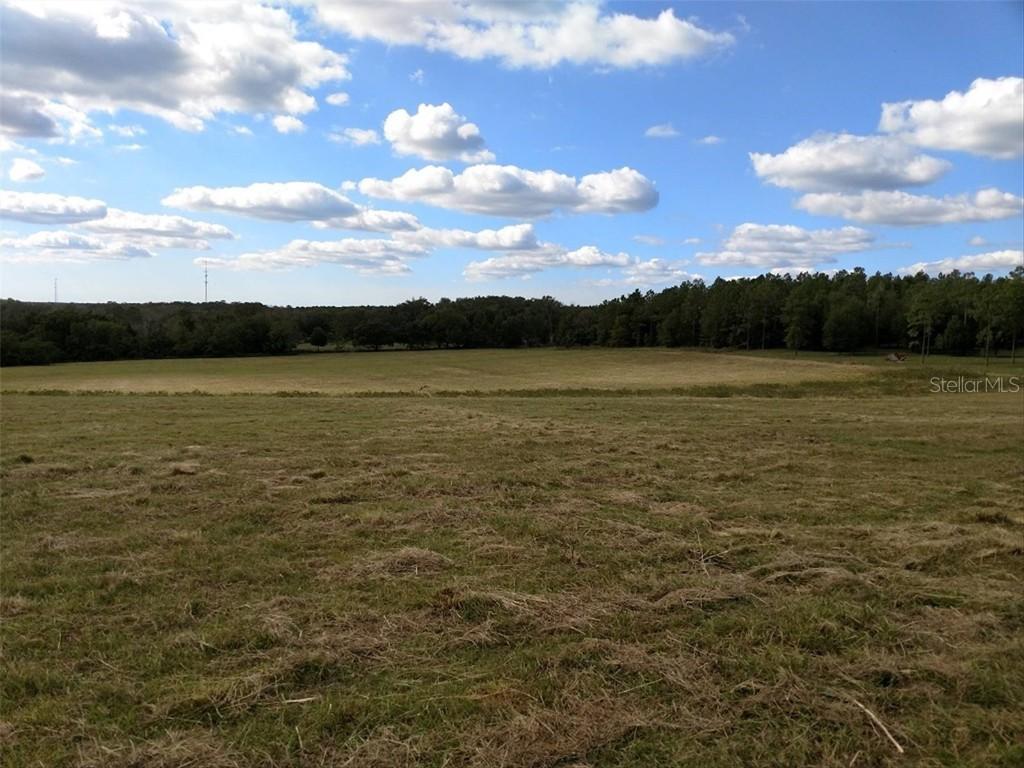 Blanton Rd., Dade City, FL 33523