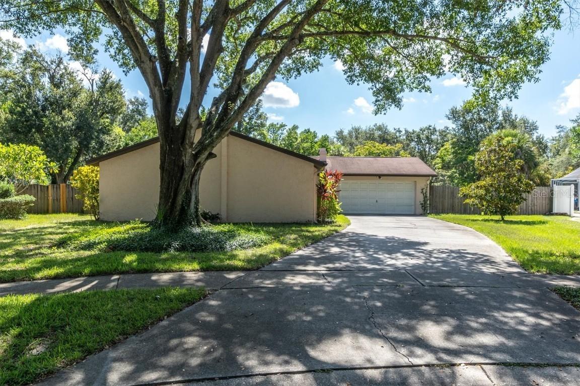 13202 Moran Dr., Tampa, FL 33618