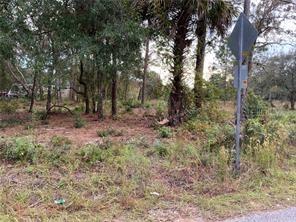 18740 Craig Loop, Hudson, FL 34667