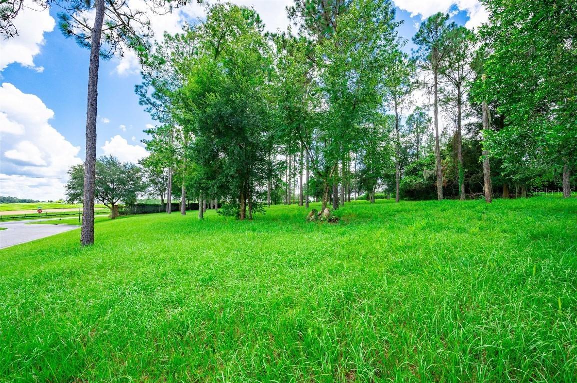 35940 Ramsey Ridge Dr., Dade City, FL 33523