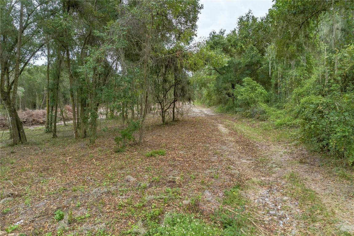 Cedar Tree Dr., Brooksville, FL 34602