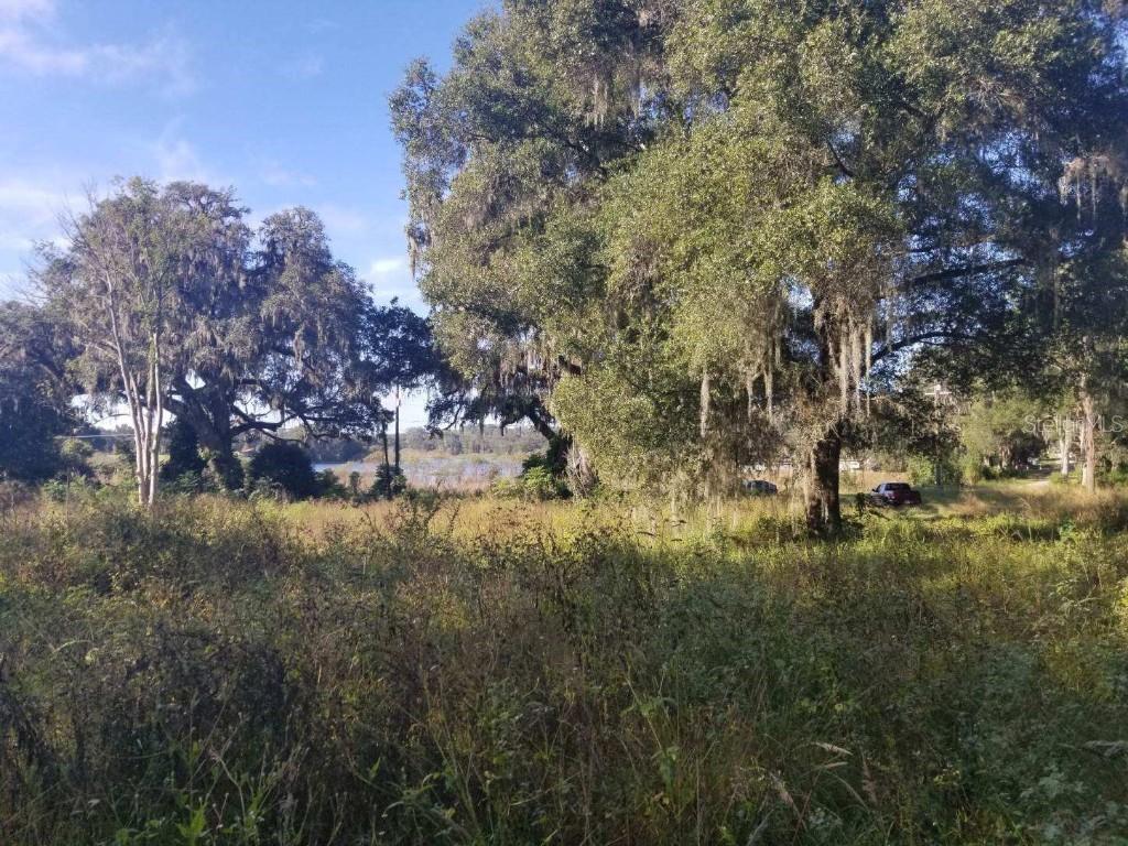 Spring Valley Rd., Dade City, FL 33523