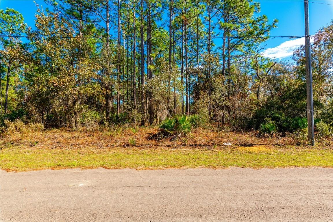7137 N Adford Ter., Citrus Springs, FL 34434