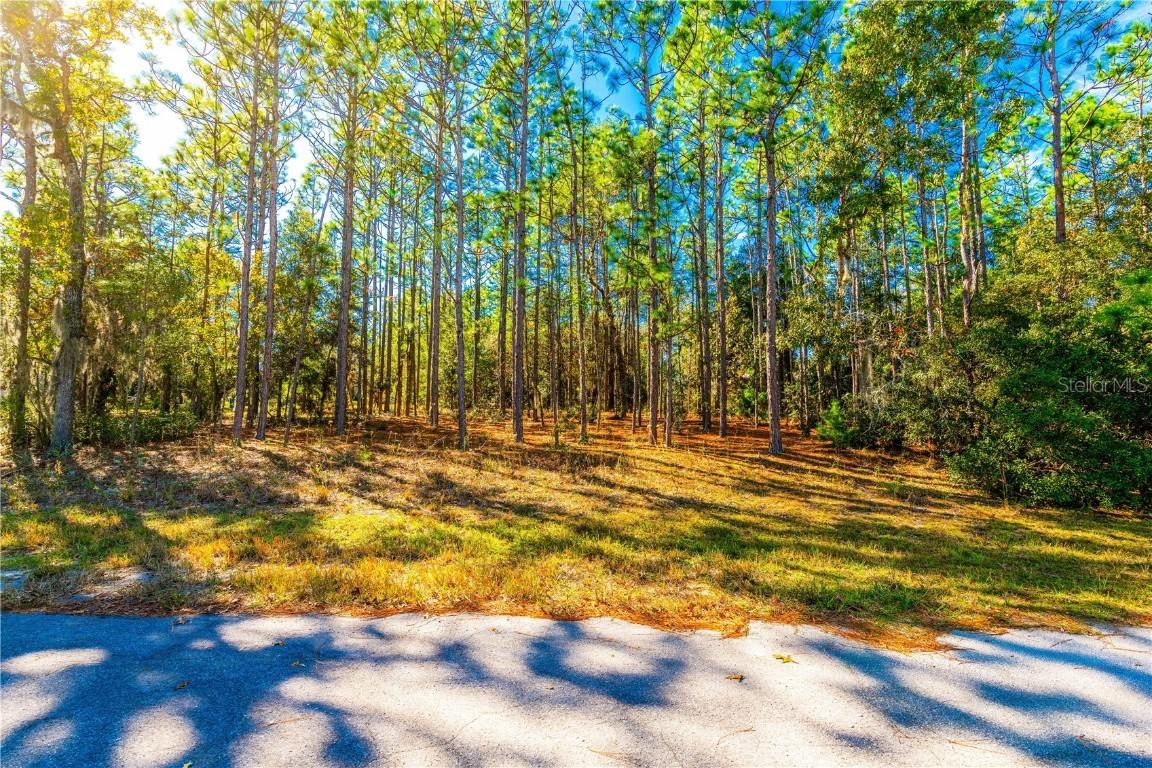 7938 N Ryan Way, Citrus Springs, FL 34434