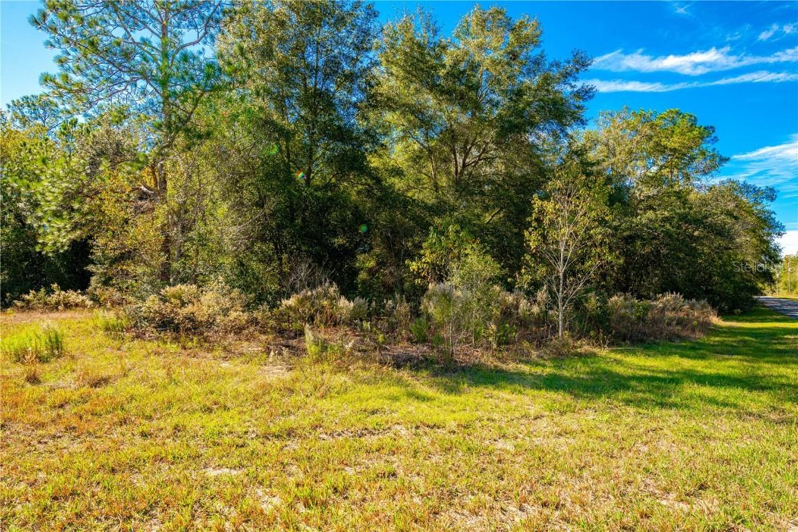 2166 W Summer Pl., Citrus Springs, FL 34434