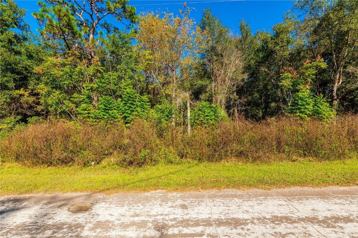 9789 N Angela Dr., Citrus Springs, FL 34434