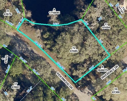 Riderwood Dr., Dade City, FL 33523