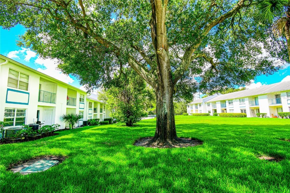 5035 Bordeaux Village Pl. #101, Tampa, FL 33617