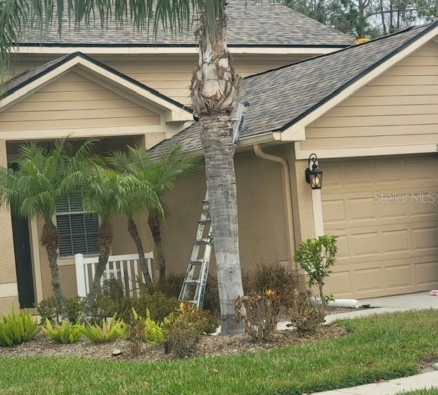 7744 Citrus Blossom Dr., Land O Lakes, FL 34637