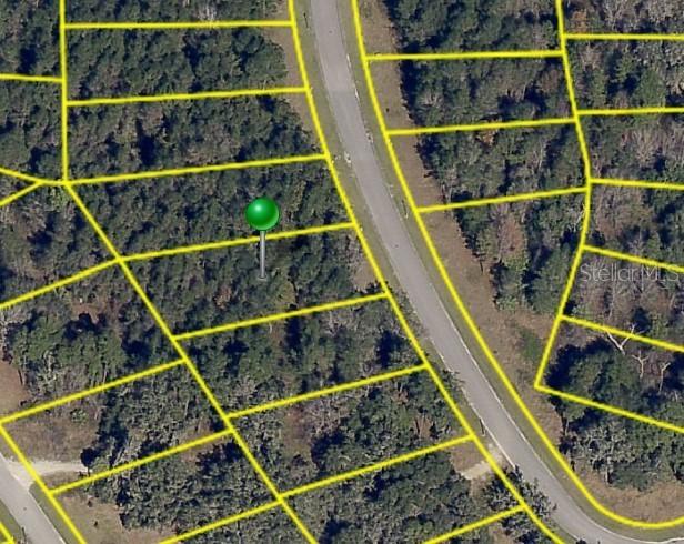 4729 Majestic Hills Loop, Brooksville, FL 34601
