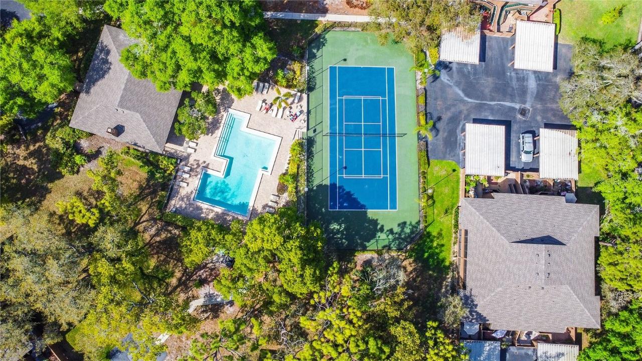 1501 Lennox Rd., Palm Harbor, FL 34683