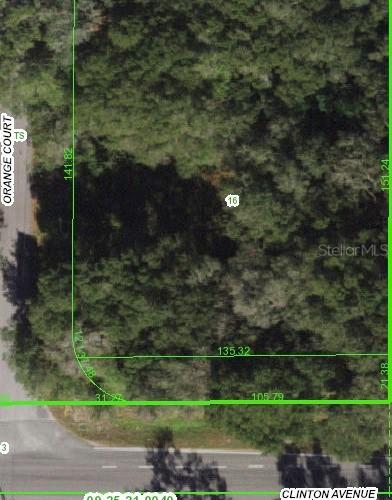 Orange Ct., Dade City, FL 33525