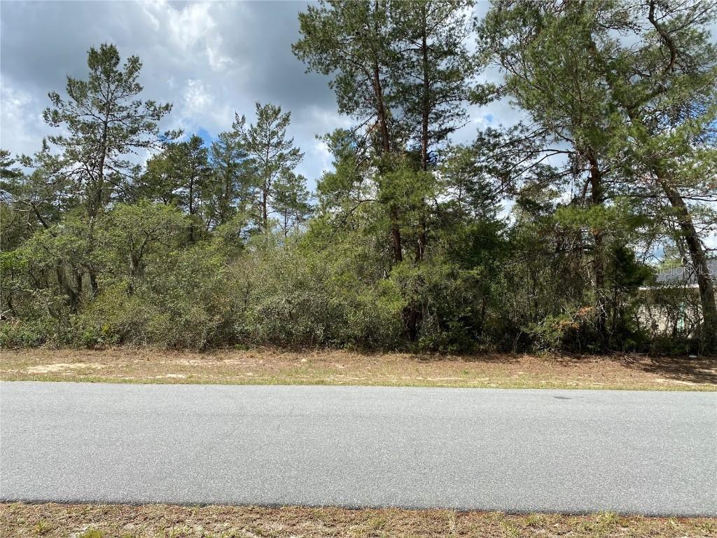 00 Sw 22nd Terrace Rd, Ocala, FL 34473