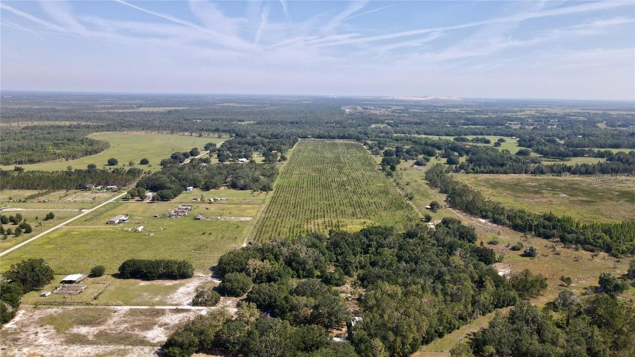 [Address Hidden by Seller], Lithia, FL 33547