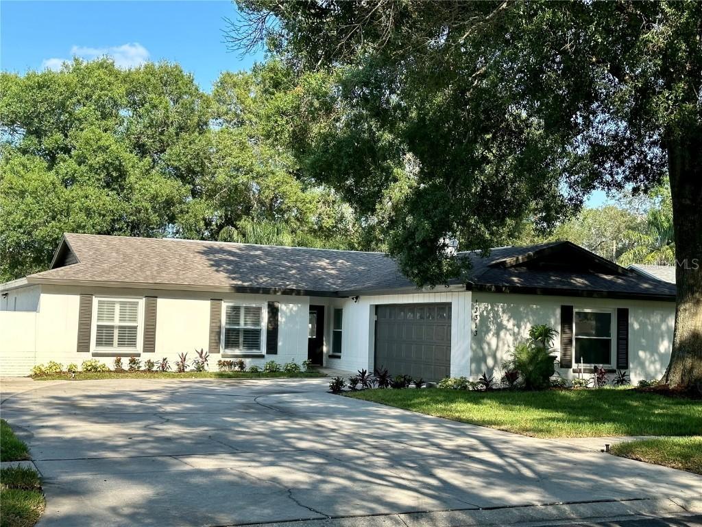 13313 Lake George Pl., Tampa, FL 33618