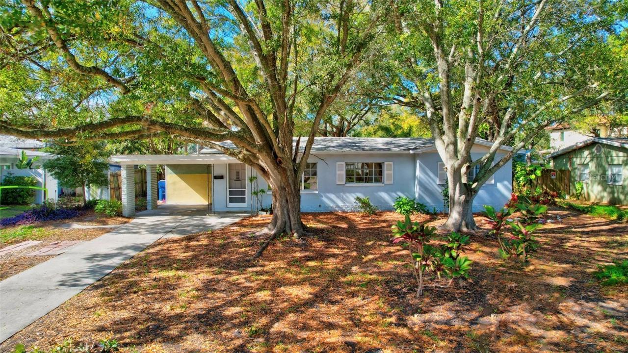 3407 S Lightner Dr., Tampa, FL 33629