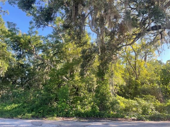 New Homes For Sale This Week in Lakeland: June 30th to July 6th