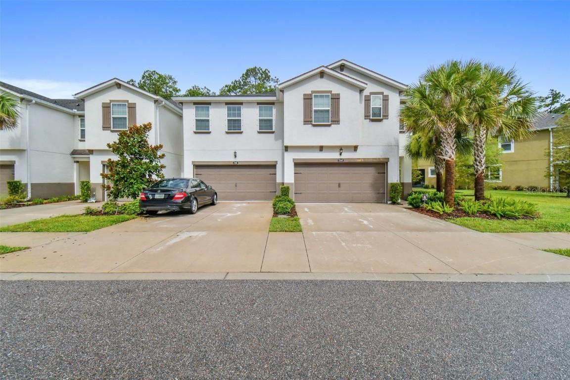 17840 Althea Blue Pl., Lutz, FL 33558