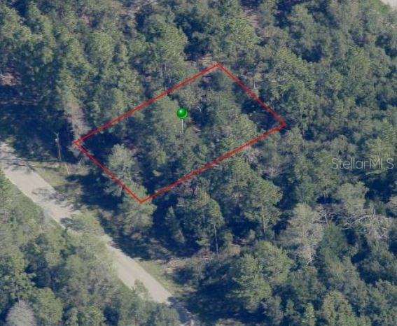 9271 N Cortlandt Dr., Citrus Springs, FL 34434