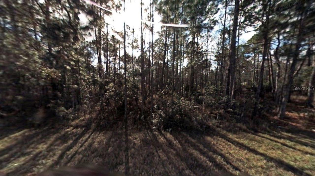6 Lleberry Path, Palm Coast, FL 32164