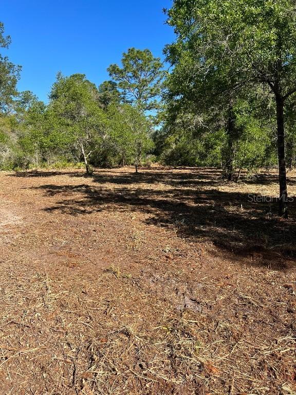 35391 Overcup Dr., Webster, FL 33597