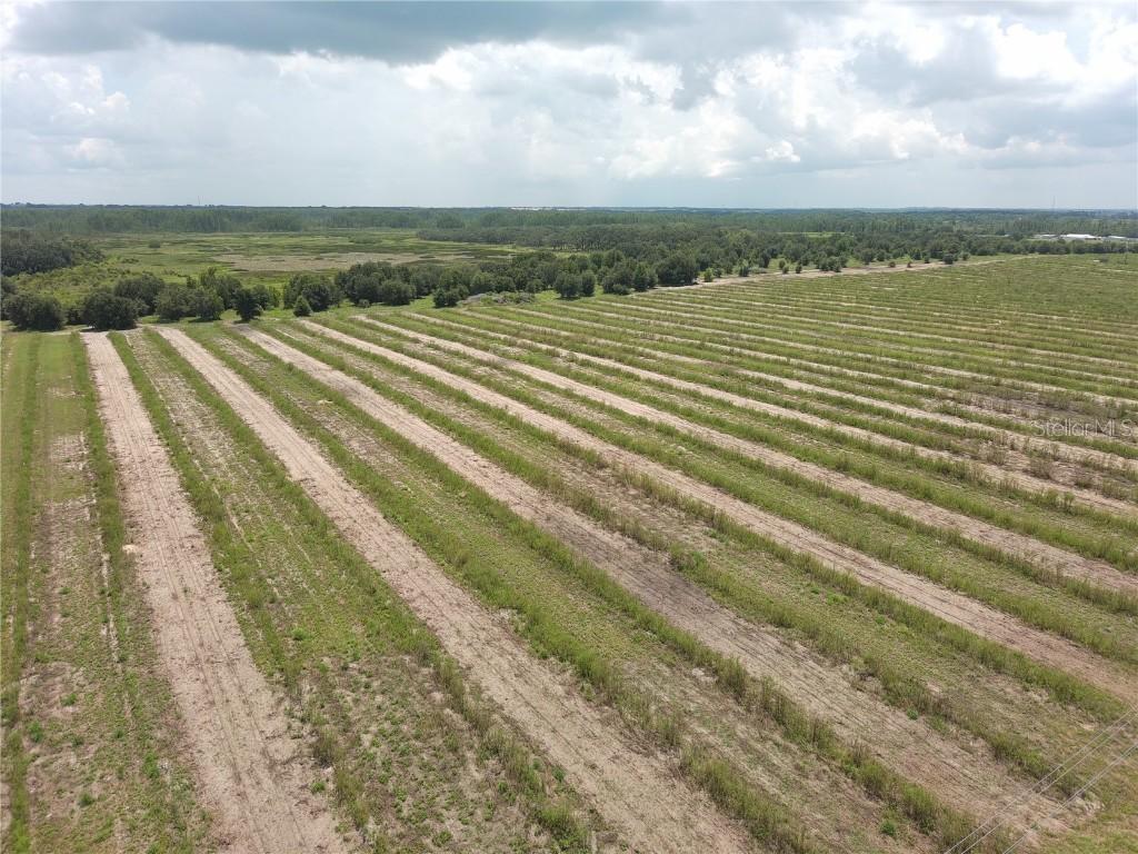 000 Kuder Ranch Rd., Haines City, FL 33844