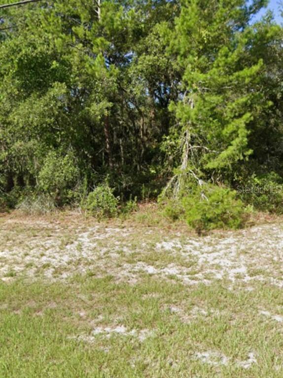 053 Marion Oaks #unit 4, Ocala, FL 34477