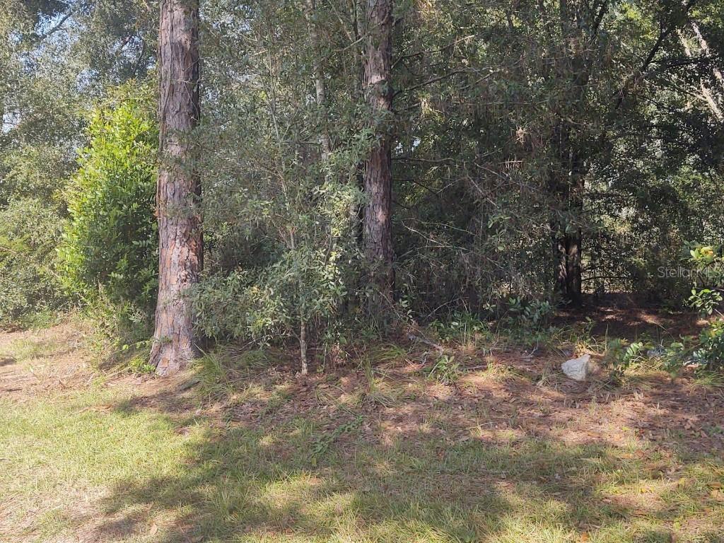Nelson Rd., Dade City, FL 33525