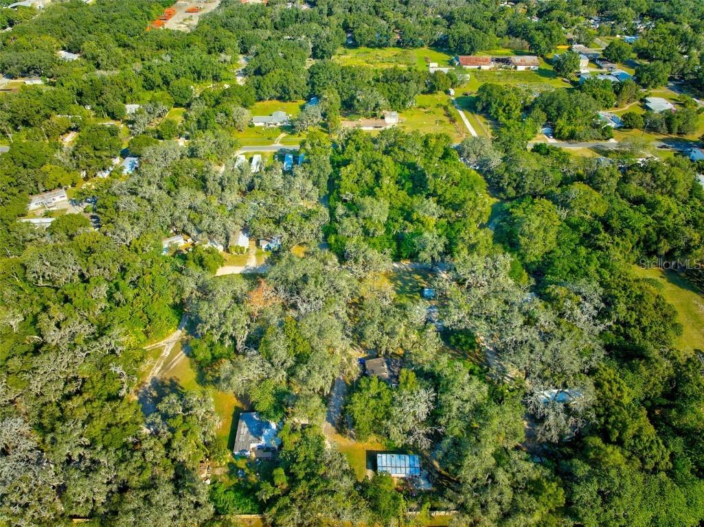 9921 Carl St., Tampa, FL 33610