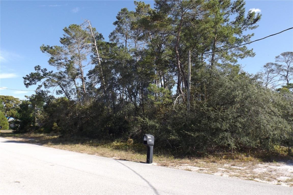5304 Elkin Ave., Spring Hill, FL 34606
