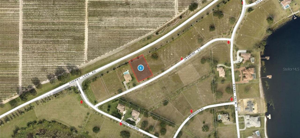 7413 Jasmine St., Groveland, FL 34736
