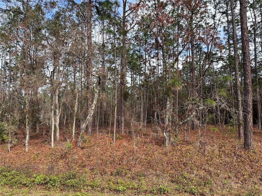 TBD SW 135th Terrace Rd., Ocala, FL 34481