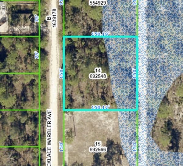 00 Necklace Warbler Avenue, Weeki Wachee, FL 34614